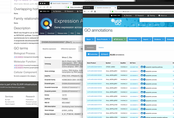Long text strings can often be hard to decifer.