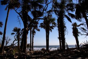 Improving AI chatbots with an editorial handbook from your best content